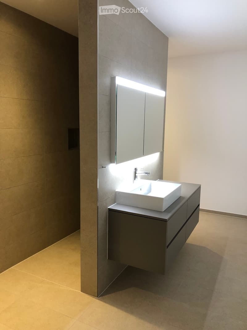 Modern bathroom with a white sink, sleek faucet, mirrored cabinet with built-in lighting, and dark-toned cabinetry.