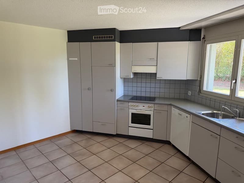 Modern kitchen with grey cabinets, tiled walls, and a window overlooking a green area.