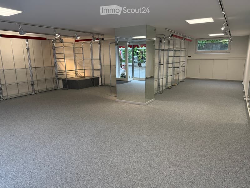 Empty room with carpet, metal shelving units, large mirror, track lighting on the ceiling, windows with red awnings, door leading to the outside.