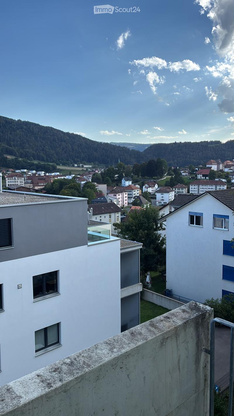 View from a rooftop showing a town with houses, trees, and distant hills under a clear sky.