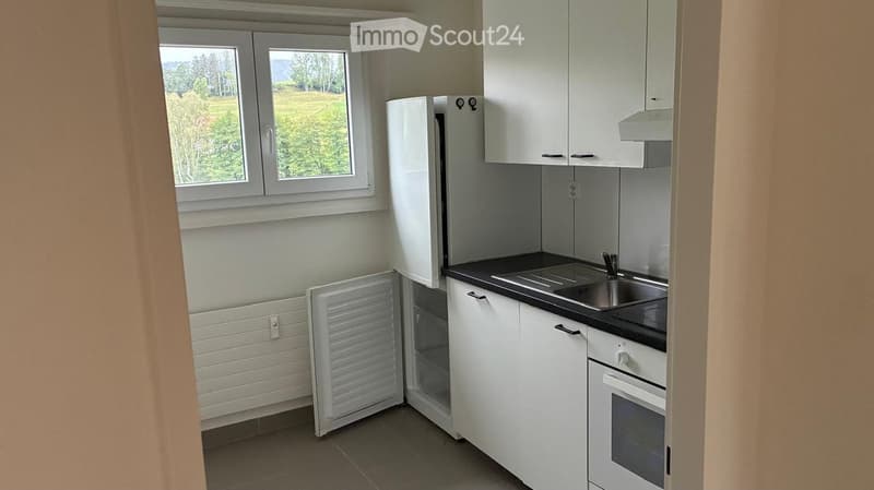 Modern kitchen with white cabinets, stainless steel sink, refrigerator, and oven. Large window offers a scenic view of greenery.