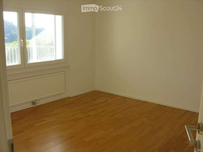 Empty room with wooden flooring, light-colored walls, and a radiator under a large window with a view of a balcony.
