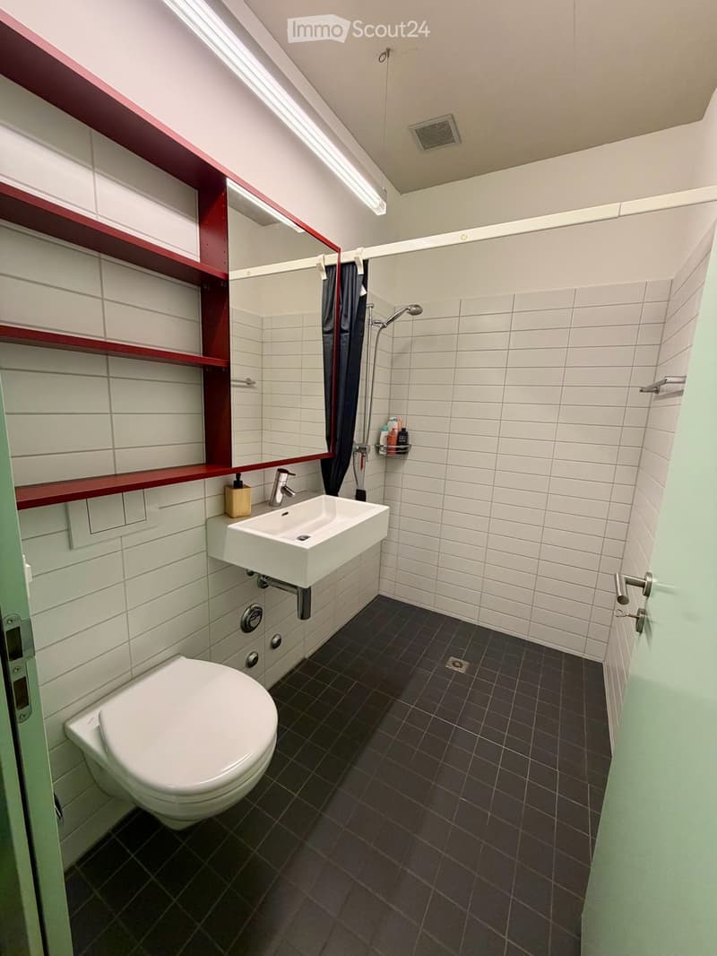 Modern bathroom with white tiles, dark floor, toilet, sink, mirror, and shower area with a curtain.
