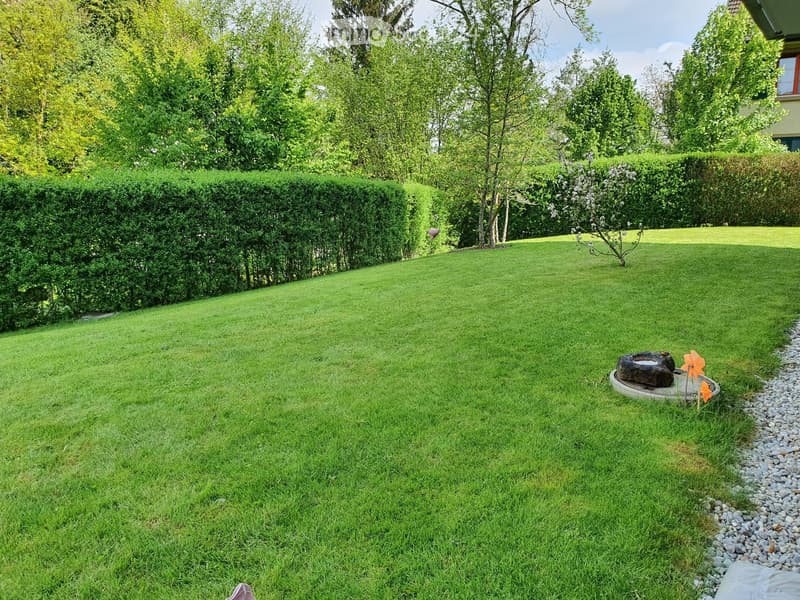 Well-maintained lawn with a small decorative water feature, surrounded by trees and shrubs.