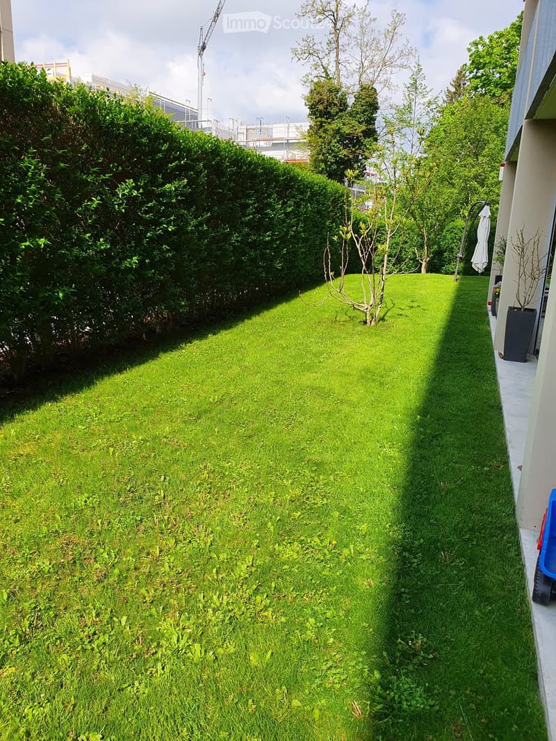 A well-maintained garden with a neatly trimmed lawn, surrounded by hedges and trees, with a building visible on the right side.
