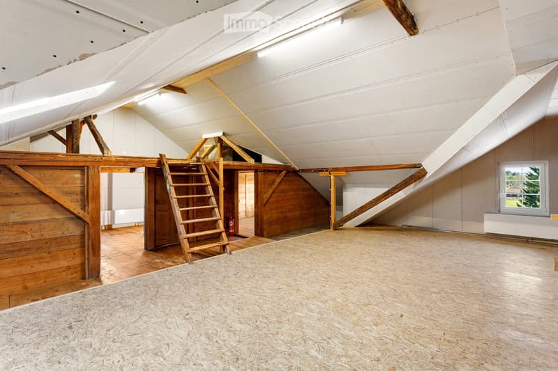 An empty attic space with wooden beams, exposed wooden walls, a wooden ladder leading to a loft area, and a window letting in natural light.