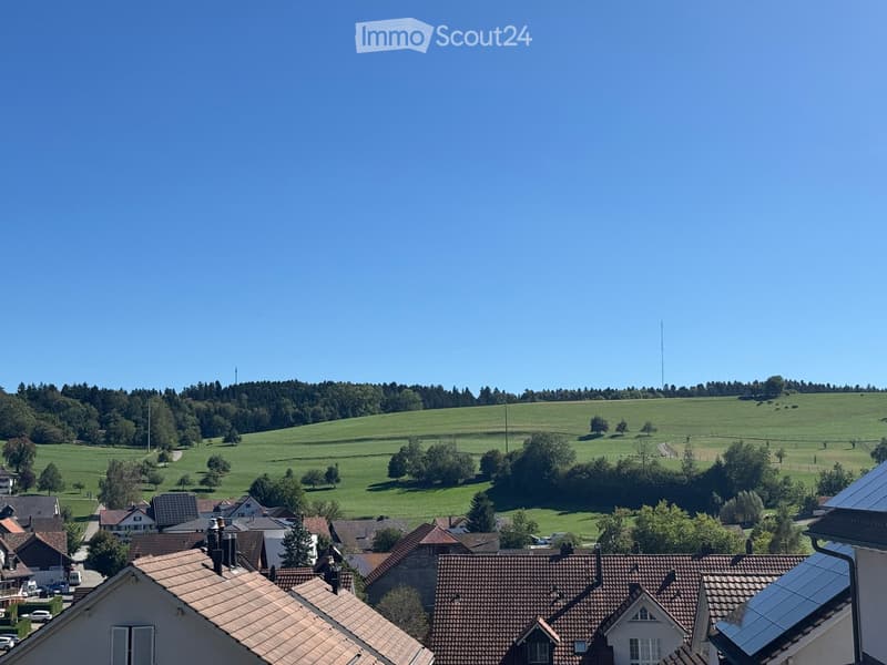 A panoramic view of a rural village with red-tiled roofs, surrounded by green fields and trees under a clear blue sky.