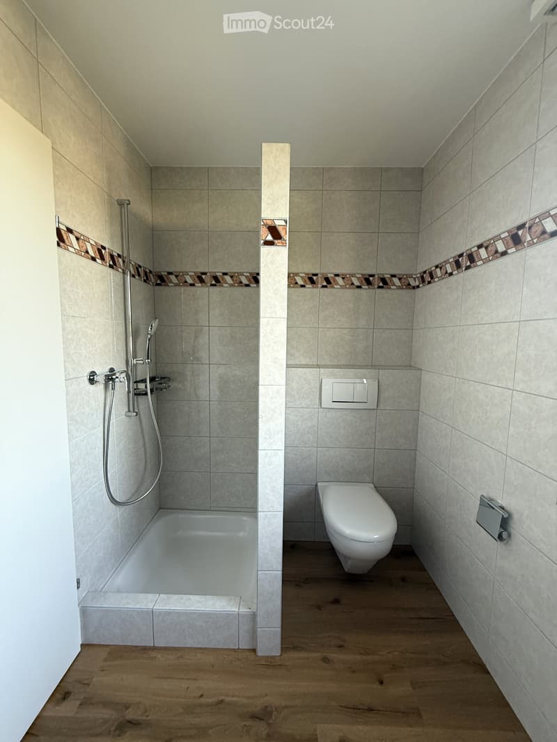 Modern bathroom with a bathtub, toilet, and shower, featuring tiled walls and wooden flooring.
