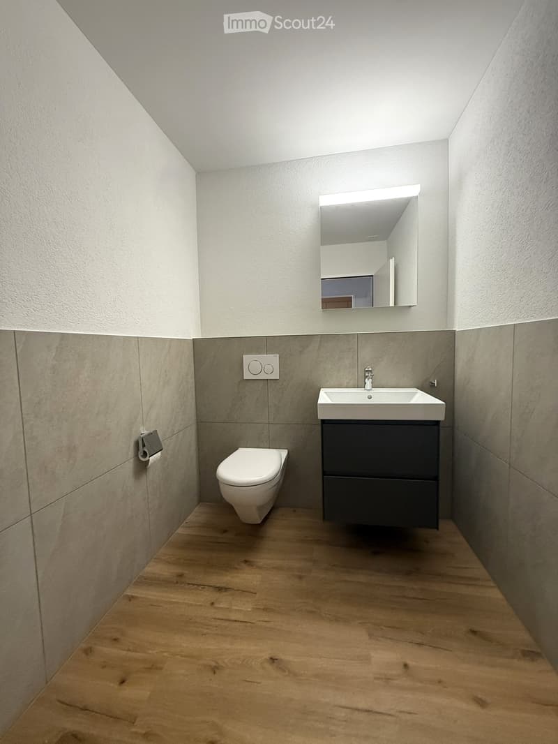 Modern bathroom with wooden flooring, grey tiled walls, a white toilet, a dark cabinet sink, and a wall-mounted mirror with built-in lighting.