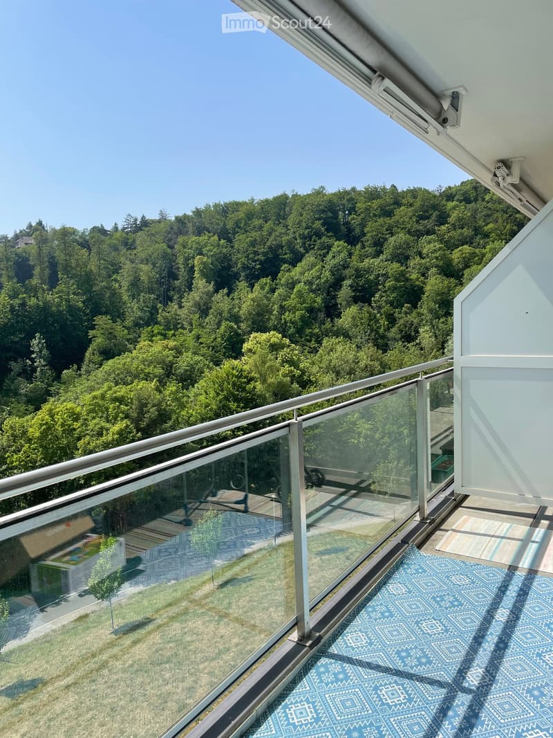 Balcony with glass railing, overlooking a lush green forest, blue patterned rug on the floor.