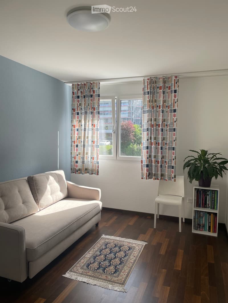 Living room with a grey sofa, white chair, bookshelf, plant, and patterned rug on wooden floor.