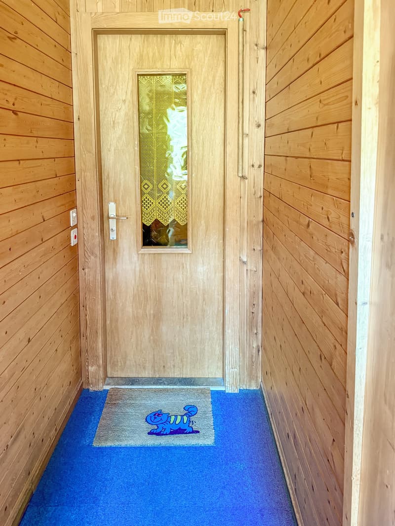 A narrow wooden hallway with a blue carpeted floor, a small doormat with a cartoon character, and a wooden door with a decorative glass panel.