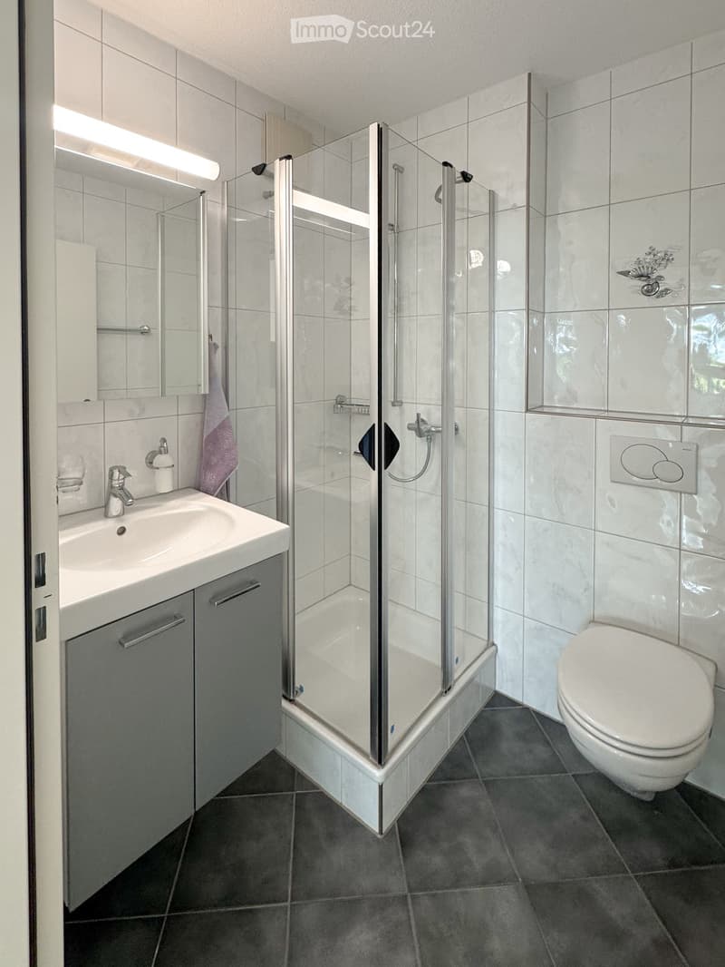 Modern bathroom with white tiles, a glass-enclosed shower, a white sink with a chrome faucet, a toilet, and a mirrored cabinet.
