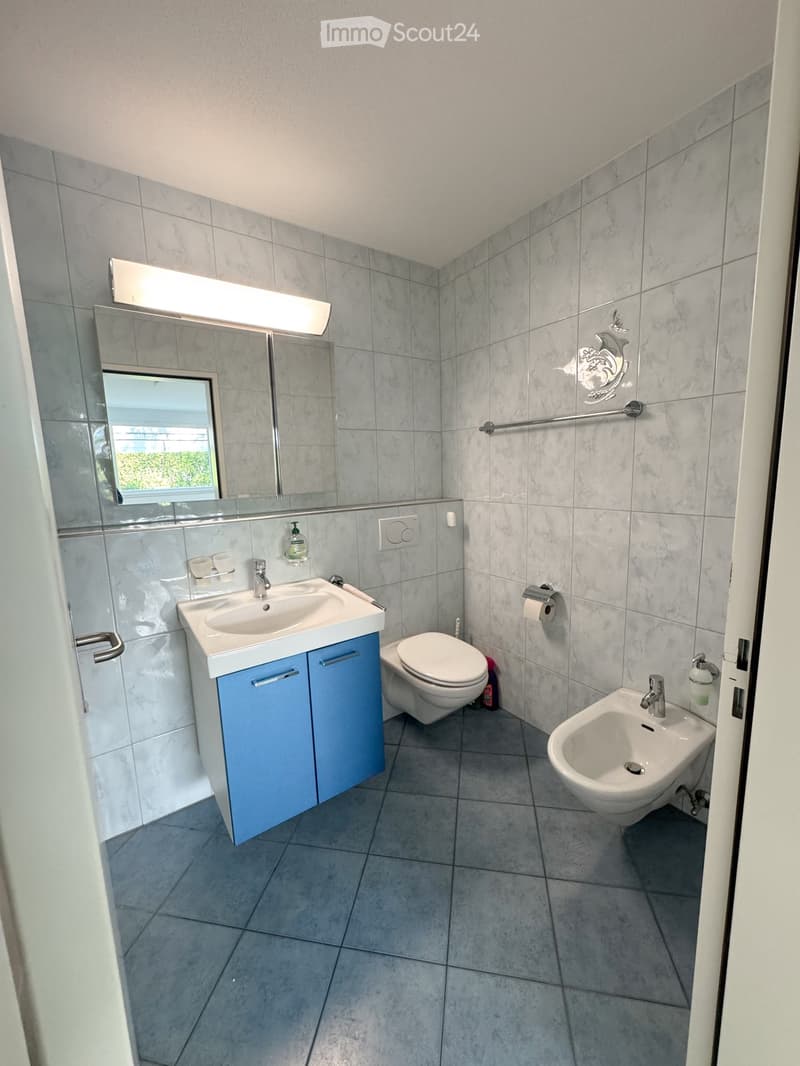 Modern bathroom with grey tiled walls and floor, featuring a white sink with blue cabinetry, a toilet, a bidet, a large mirror with built-in lighting, and a towel rack.