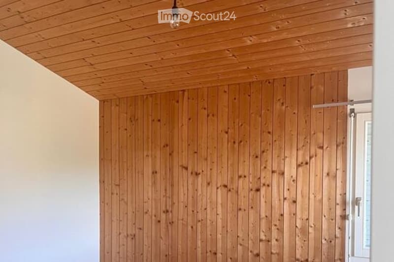 Empty room with wooden walls and ceiling, white walls, and a single light fixture.