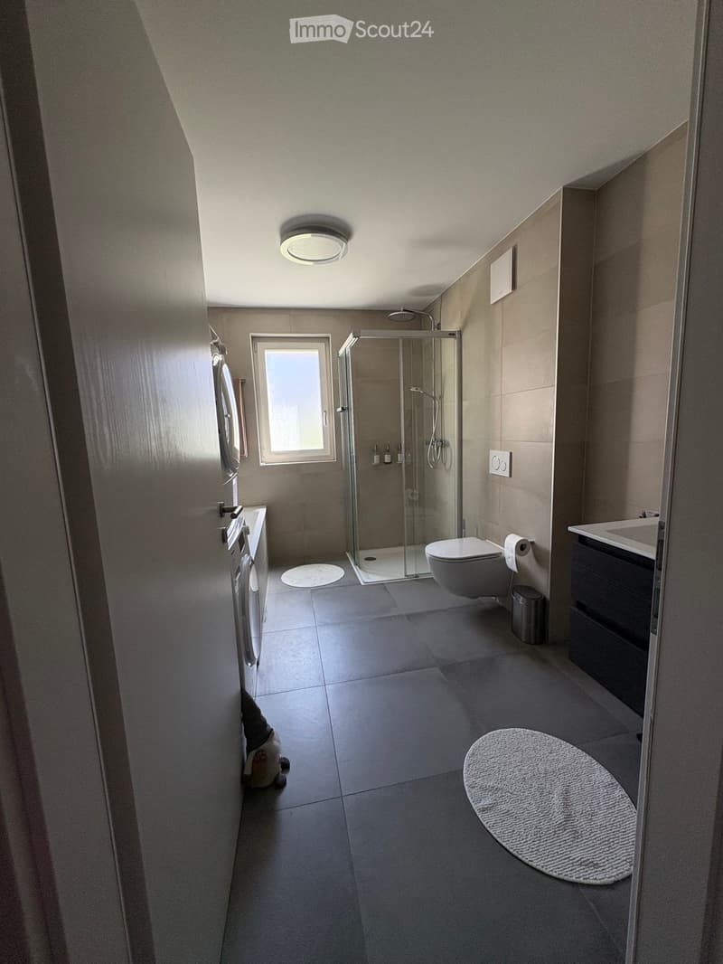 Modern bathroom with a glass-enclosed shower, toilet, sink, and a large window providing natural light. Features include a round rug, a towel hanging on the wall, and a trash can near the toilet.