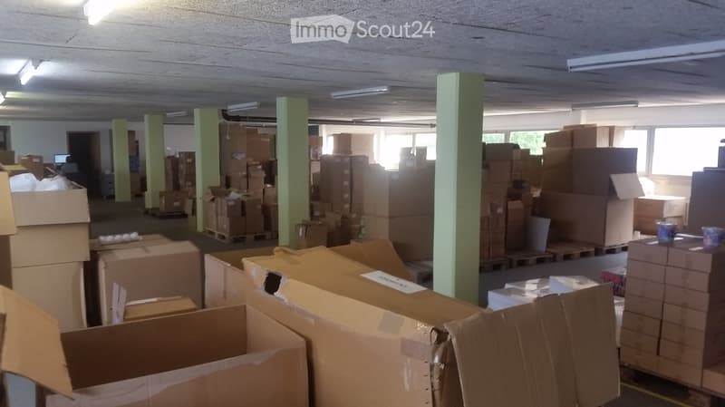 Warehouse space with numerous cardboard boxes stacked on pallets and the floor, green support pillars, and fluorescent lighting.