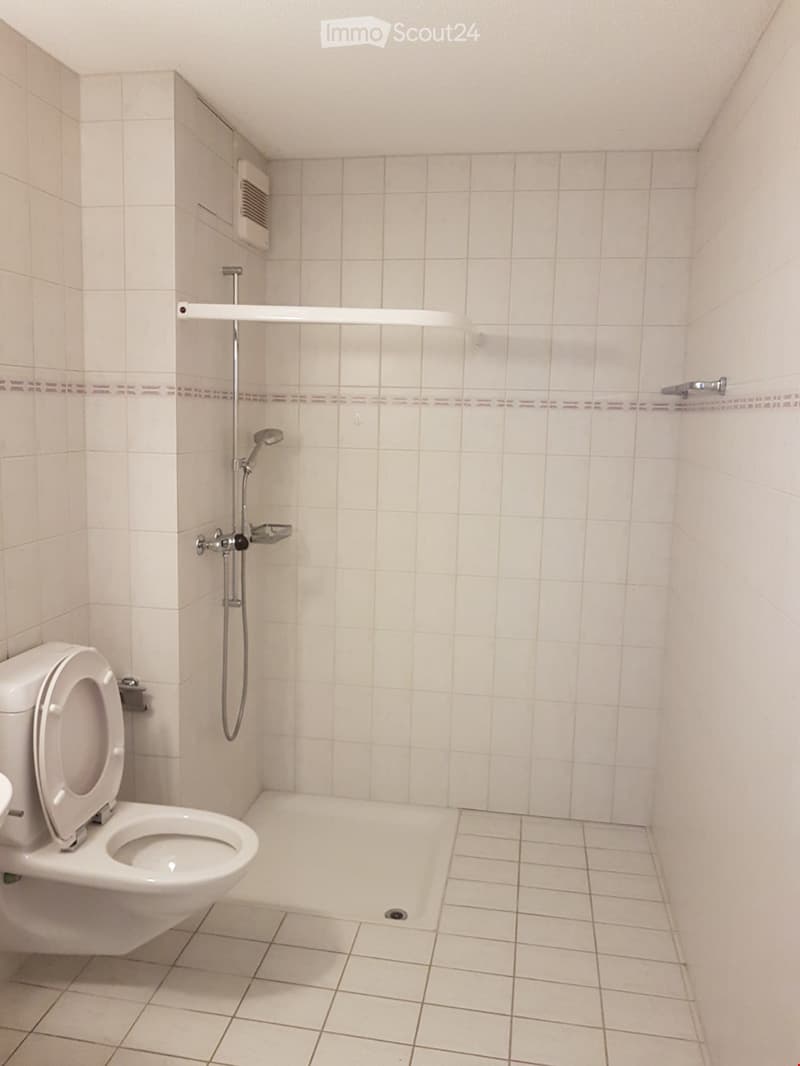 Small bathroom with white tiled walls and floor, featuring a toilet, a shower area with a handheld showerhead, and a small shelf above the shower.