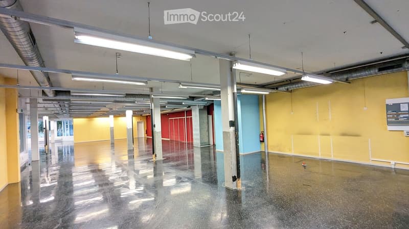 Industrial room with a concrete floor, fluorescent ceiling lamps, a red fire extinguisher mounted on a wall, yellow and blue walls