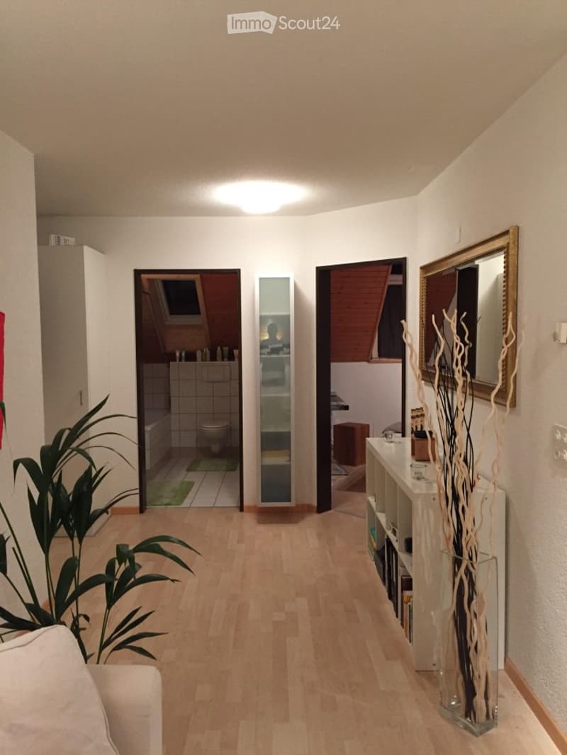 A well-lit hallway with wooden flooring, leading to a bathroom and a room. Features include a large mirror, a plant, and a shelf with decorative items.