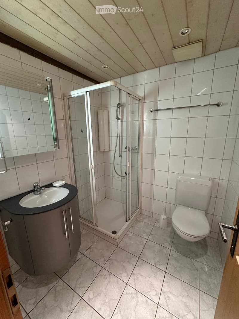 Modern bathroom with white tiles, a glass-enclosed shower, a sink with a dark countertop, and a toilet. Features include a mirror, a cabinet, and a towel rack.