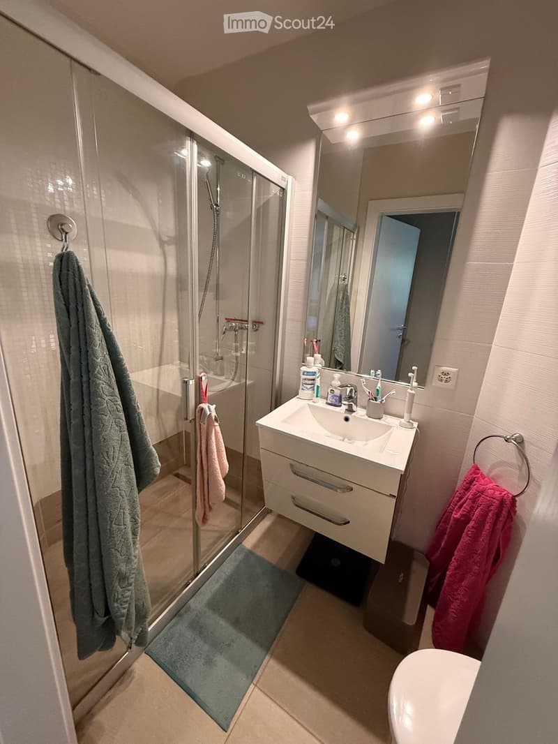 Modern bathroom with a glass-enclosed shower, a white sink with a mirror, and a toilet. The space includes towels, toiletries, and a small rug in front of the shower.