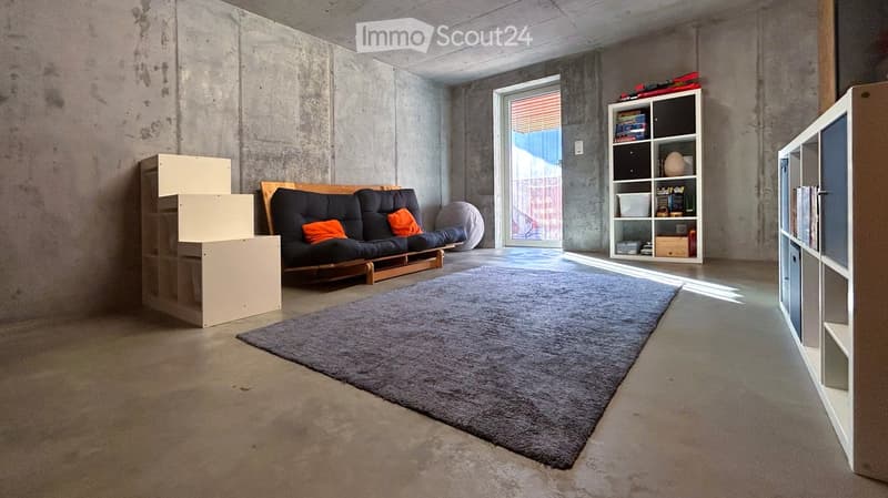 Modern, minimalist living room with exposed concrete walls, a futon sofa, shelves, and a large gray rug.