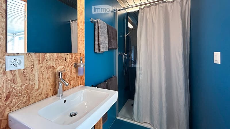 Modern bathroom with a white sink, chrome faucet, mirror, and a glass-enclosed shower with a curtain. Blue walls and wooden accents.