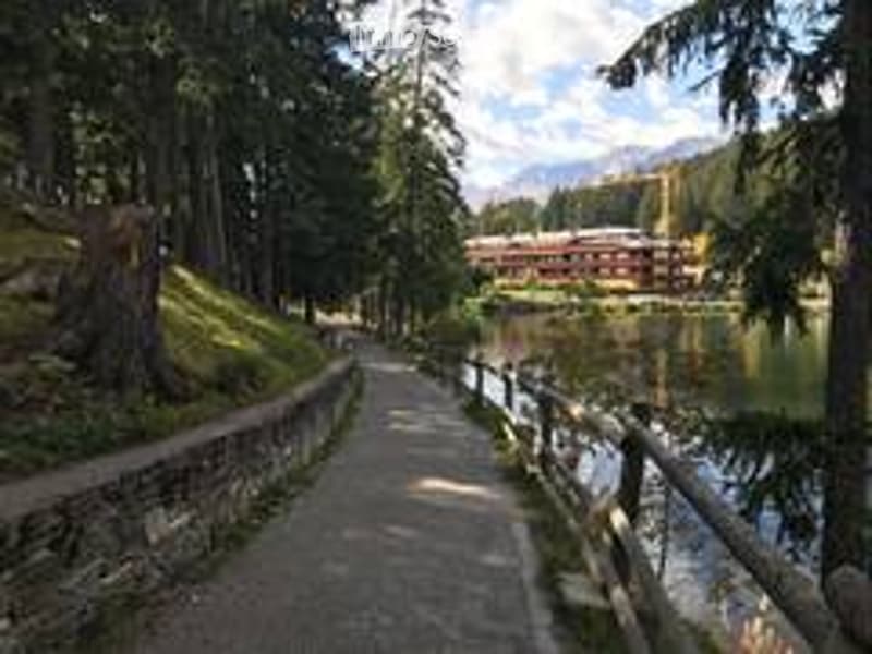 A serene lakeside pathway lined with wooden railings, surrounded by lush green trees and a distant view of a large building complex.