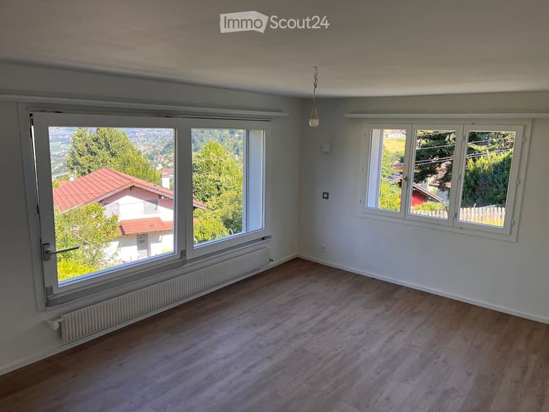Empty room with wooden flooring, large windows offering a scenic view, and a radiator under one window.