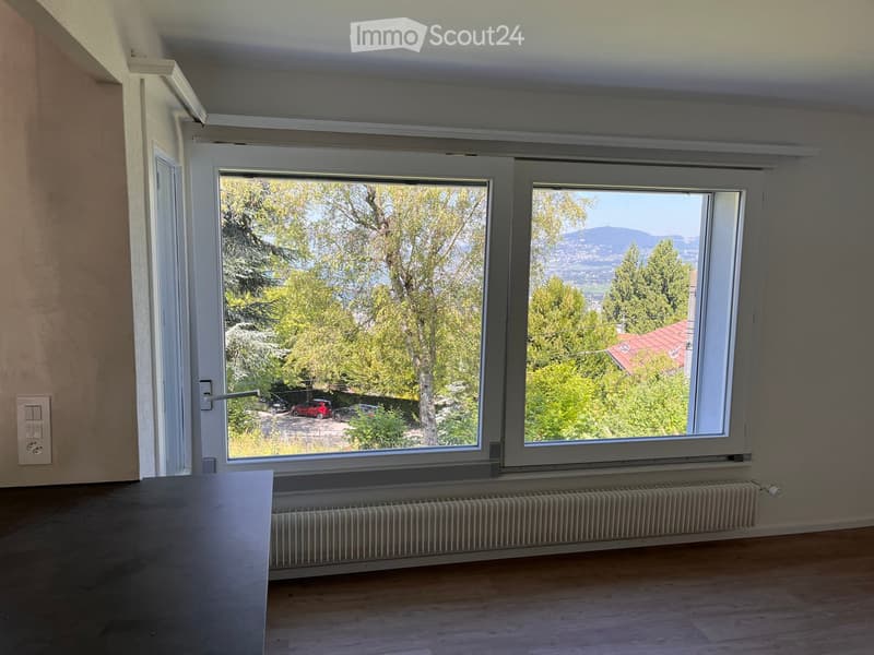 Empty room with wooden flooring, large windows offering a view of trees and a distant landscape, radiator below the windows, and a power outlet on the wall.