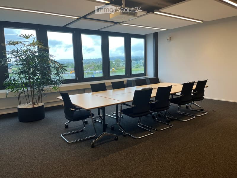 Conference room with a long table, multiple chairs, and a large potted plant near the window.