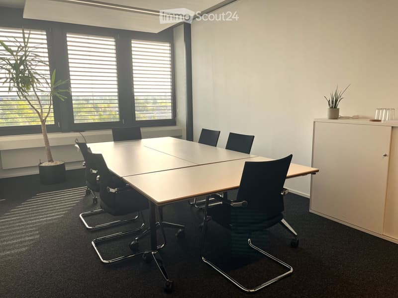 Modern conference room with a large rectangular table, black office chairs, a white cabinet, and potted plants near large windows with blinds.