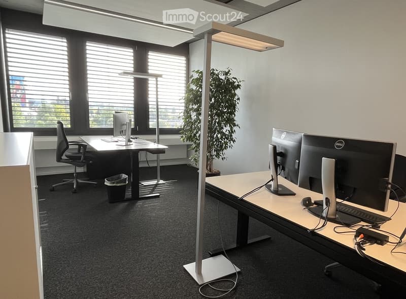 Modern office space with two desks, each equipped with a computer monitor, keyboard, and mouse. There are two office chairs, a floor lamp, a potted plant, and a trash bin visible.