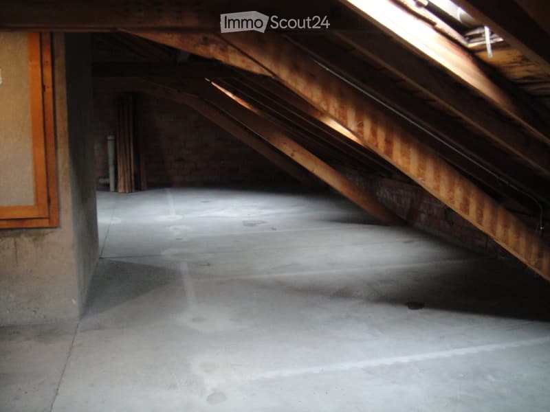 Empty attic space with exposed wooden beams, concrete floor, and skylight allowing natural light.