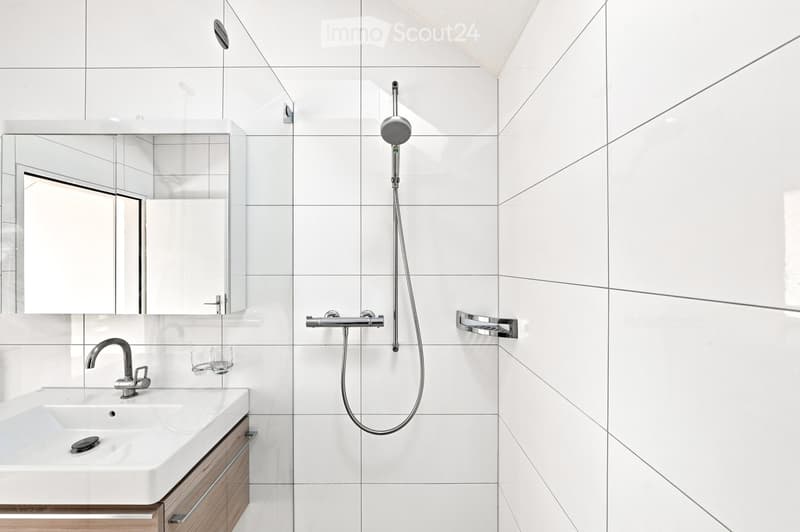 Modern bathroom with white tiles, a sleek sink with a chrome faucet, a large mirror, and a handheld showerhead with a rail.