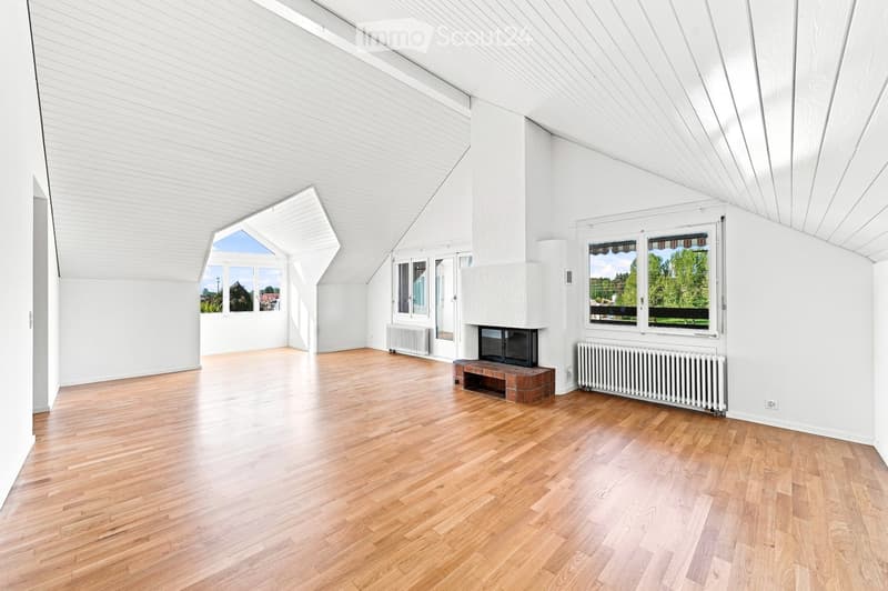 Bright, open room with wooden flooring, white walls, and a slanted ceiling. Features include a fireplace with a bench, large windows with views, radiators, and a skylight.