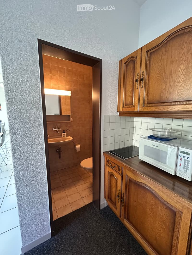 A small kitchen area with wooden cabinets, a microwave, and a bowl on the counter. An adjacent bathroom features a sink, toilet, and tiled walls.