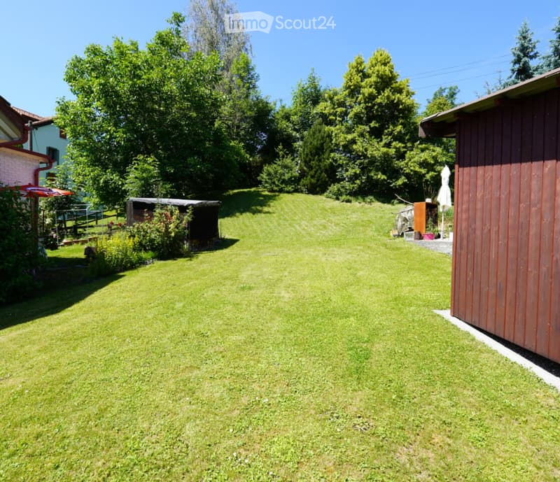 A well-maintained lawn surrounded by trees and shrubs, with a wooden shed and a small structure on the right side.