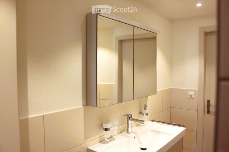 Modern bathroom with a white sink, chrome faucet, mirrored cabinet, and soap dispenser.