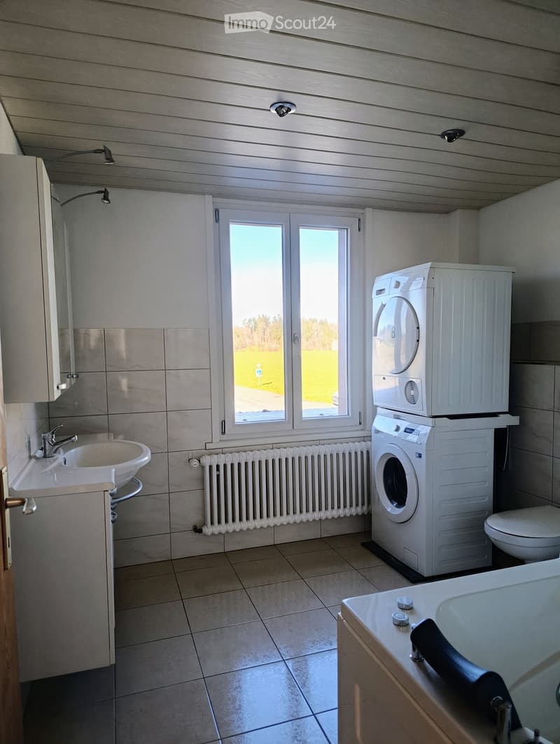 Modern bathroom with washing machine and dishwasher, bathtub, sink, and window