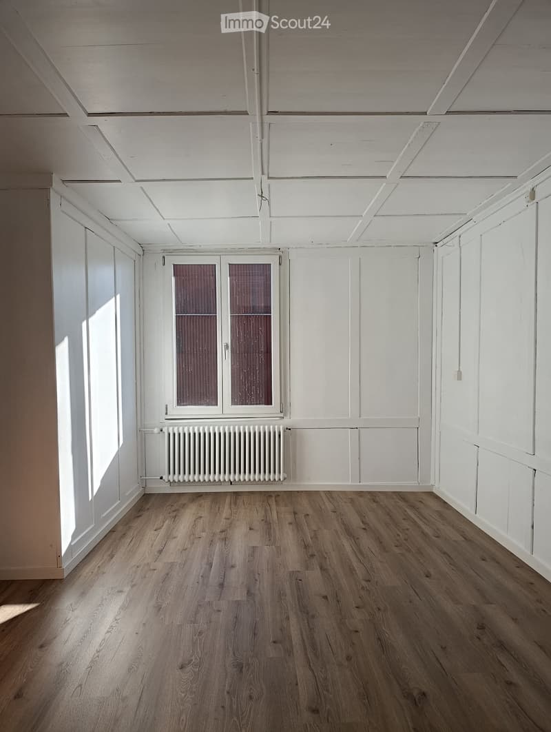 Empty room, hardwood floor, white walls, white ceiling, window with red shutters, white radiator