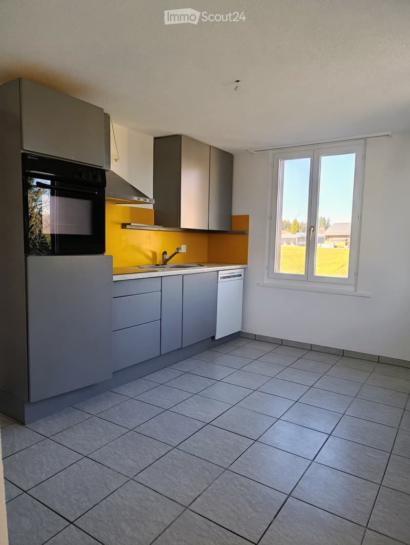 kitchen with oven, dishwasher, double sink, cabinets, tiles, window