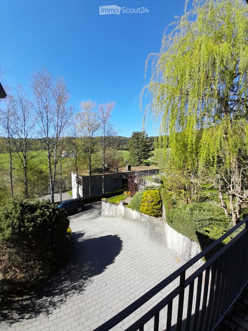 brick paved driveway, trees, shrubs, house in the background, green field