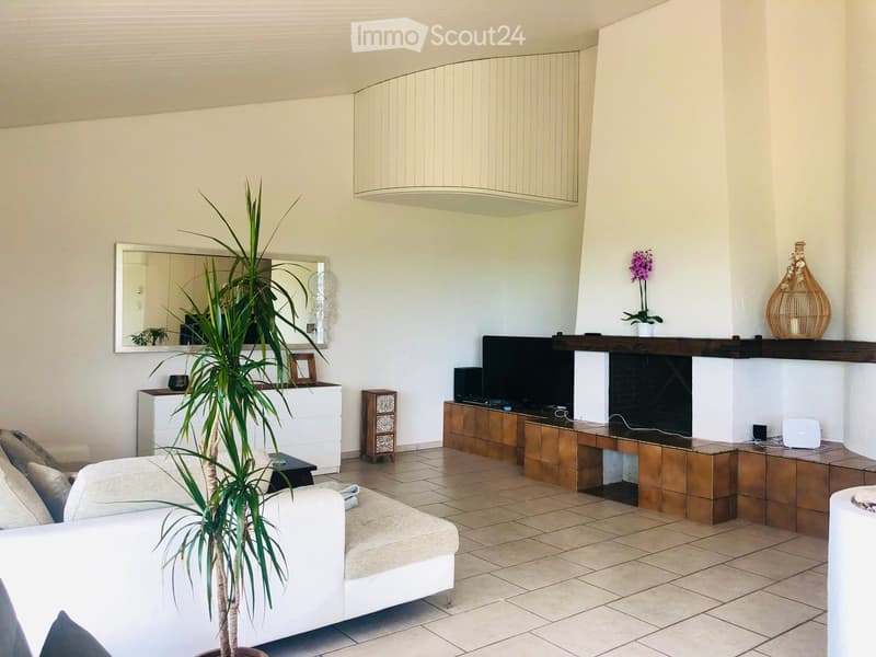 Modern living room with a white sofa, coffee table, fireplace, television, and decorative items including a large plant and a vase.
