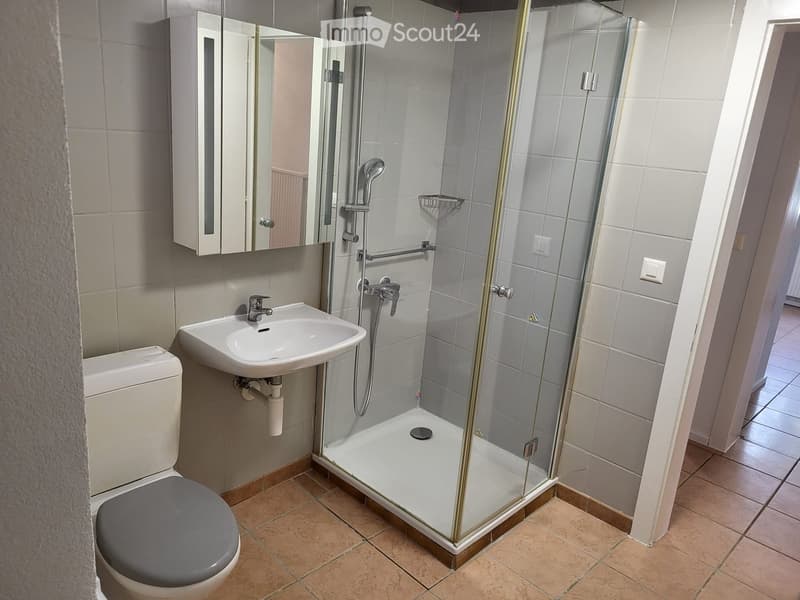 Modern bathroom with a toilet, sink, mirror, and a glass-enclosed shower stall.