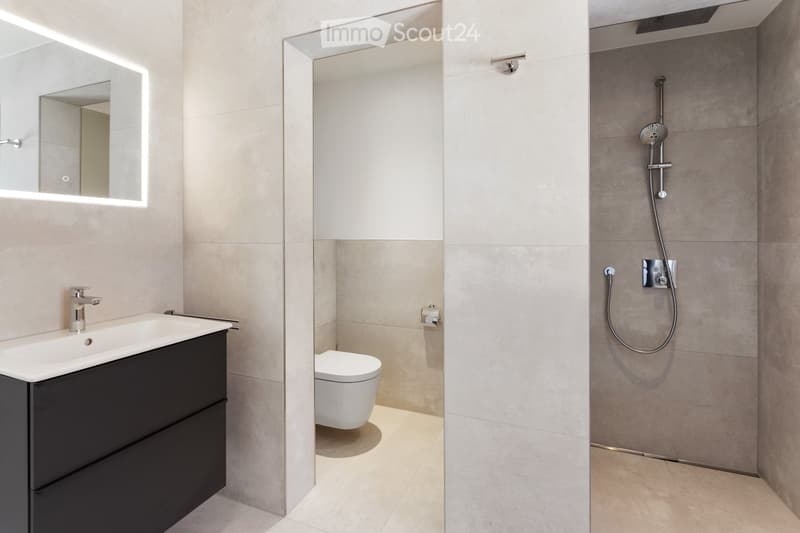 Modern bathroom with a white sink, chrome faucet, illuminated mirror, toilet, and a walk-in shower with a handheld showerhead and hose.
