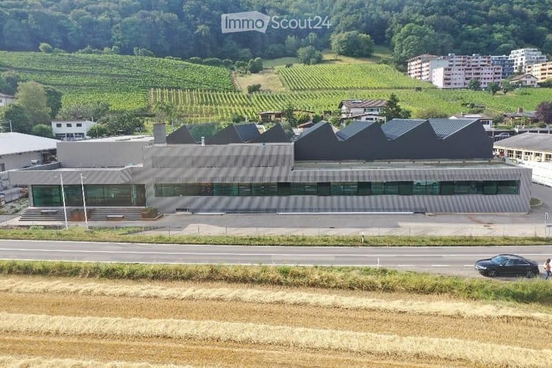 Modern building with a distinctive angular roof and large glass windows, surrounded by vineyards and residential areas.