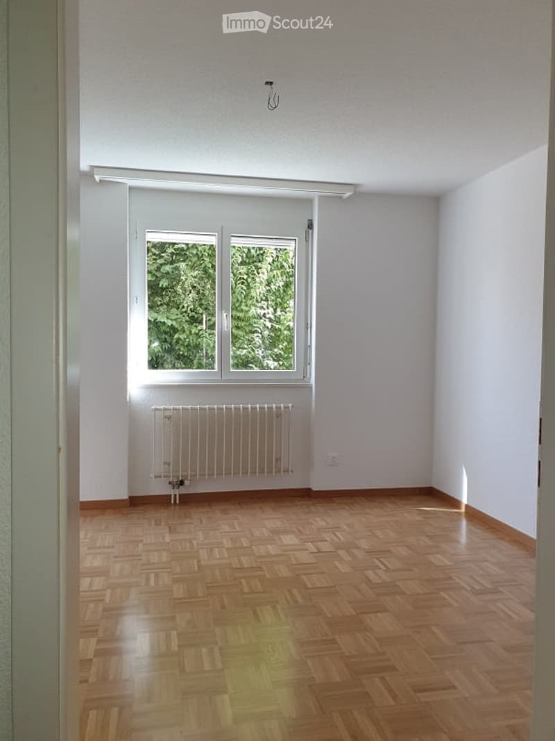 Empty room with wooden parquet flooring, white walls, and a window with double panes showing greenery outside. A radiator is placed below the window.