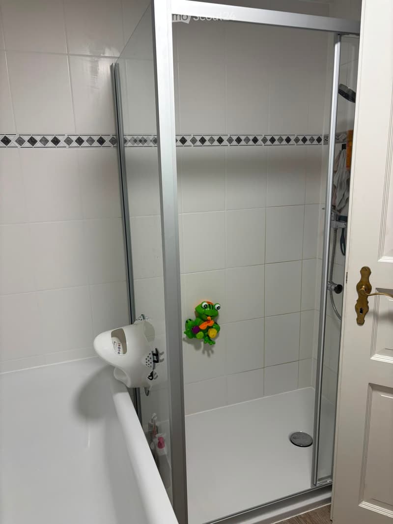 Bathroom with a white bathtub, a glass-enclosed shower, and a green frog toy on the shower wall.